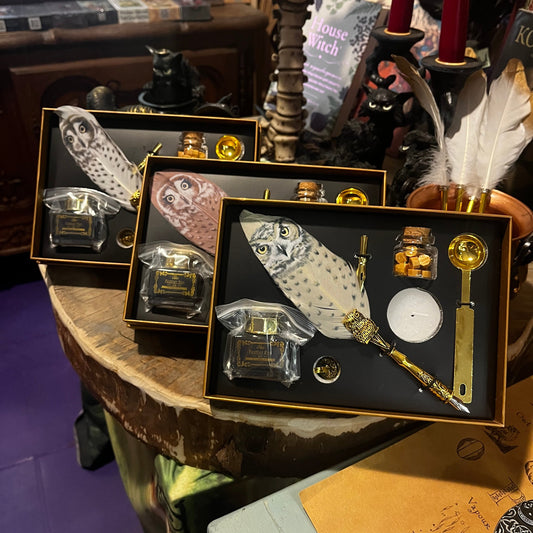 Kaligrāfijas komplekts ar pūces spalvu kastē