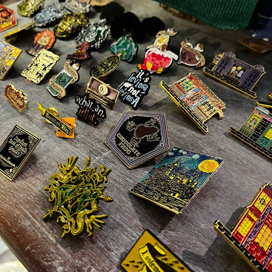 Emaljas piespraude Harijs Poters, Cūkkārpas burvju pasaule