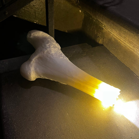 Kaula lukturītis priekš šausmu kvestiem. Tālvadības pults.