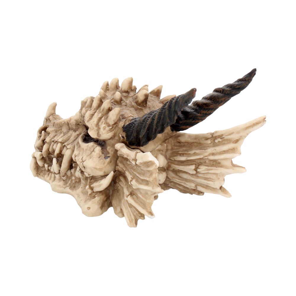 Pūķa galvaskausa kaste 20cm